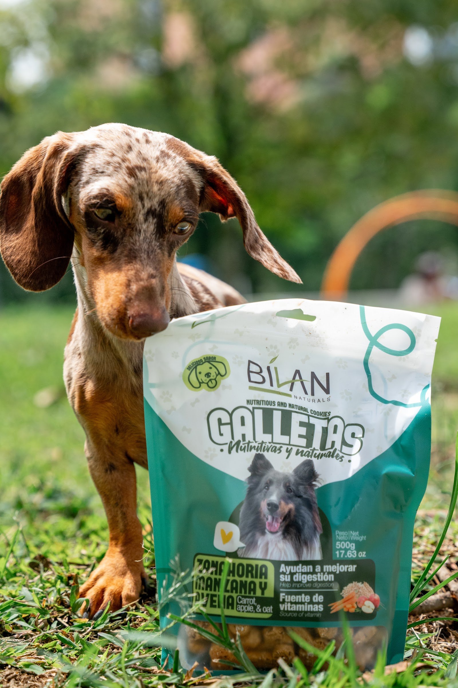 Perro dachshund con empaque de galletas Bilan Naturals